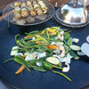 EVO Professional Grill