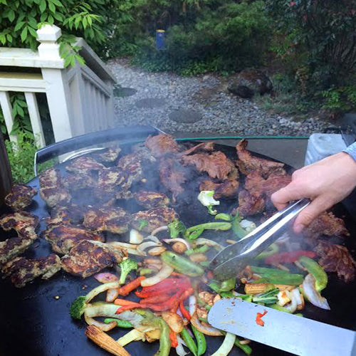 EVO Professional Grill