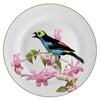 Bird Dinner Plates | Assorted Set/6