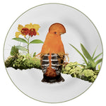 Bird Dinner Plates | Assorted Set/6